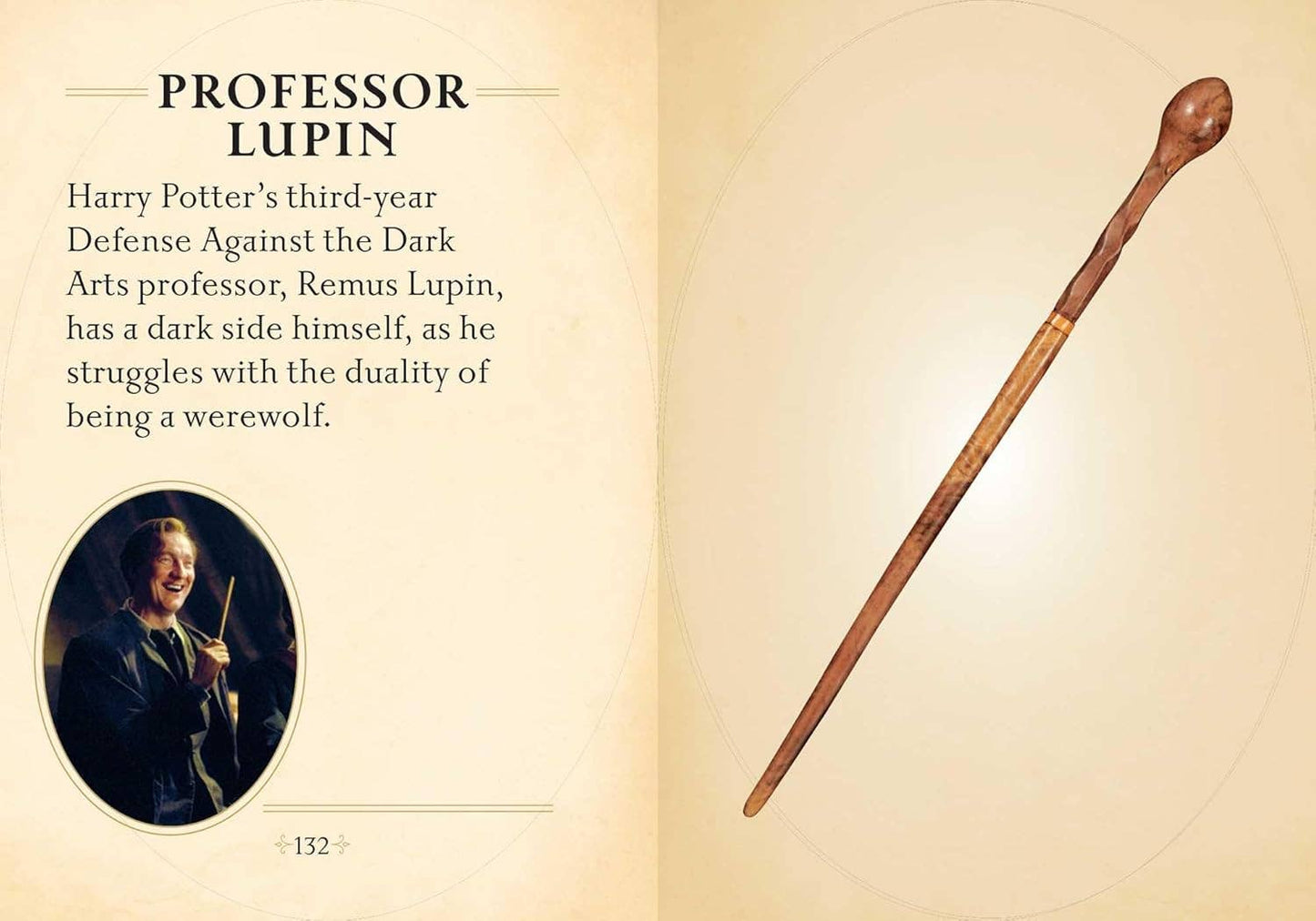 Harry Potter: Il mini libro delle bacchette