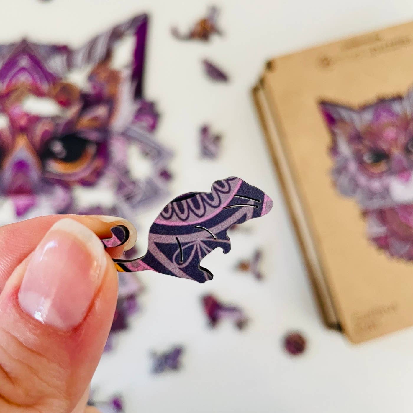 Curious Cat Jigsaw A4 Premium Box