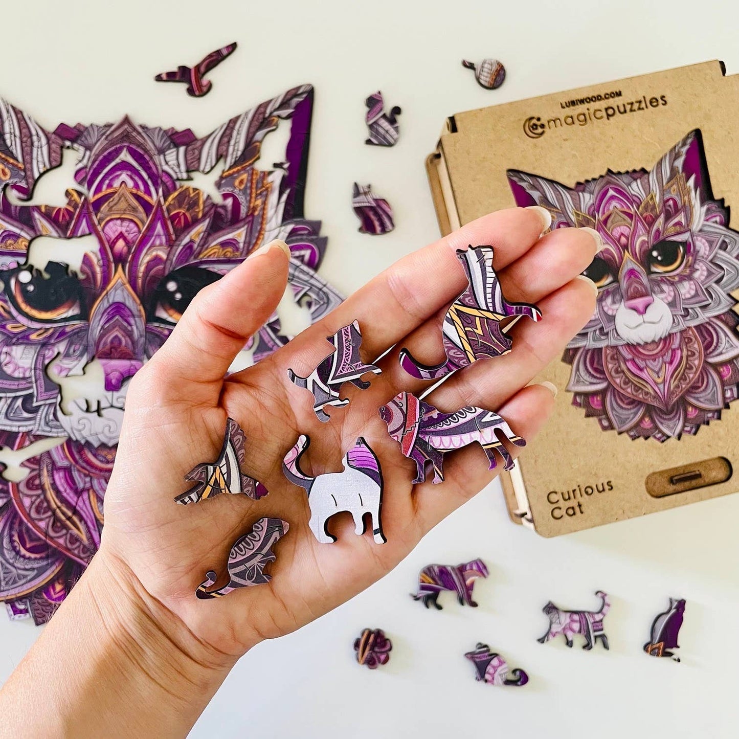 Curious Cat Jigsaw A4 Premium Box