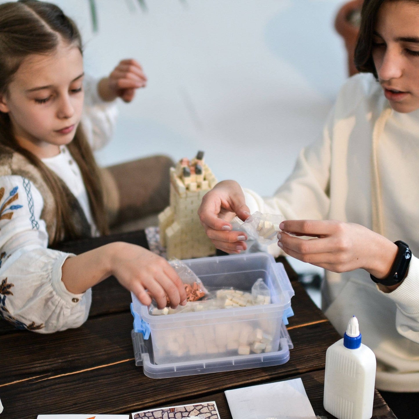 Dragon Castle - in mini mattoncini - Wise Elk