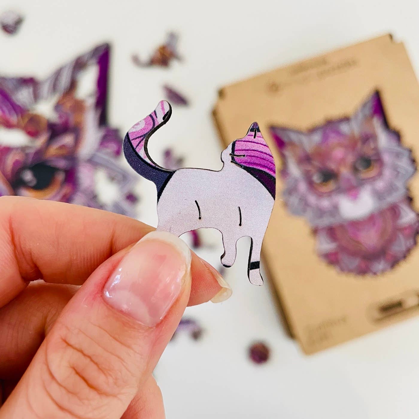Curious Cat Jigsaw A4 Premium Box