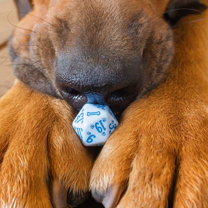 Set di dadi per cani Max