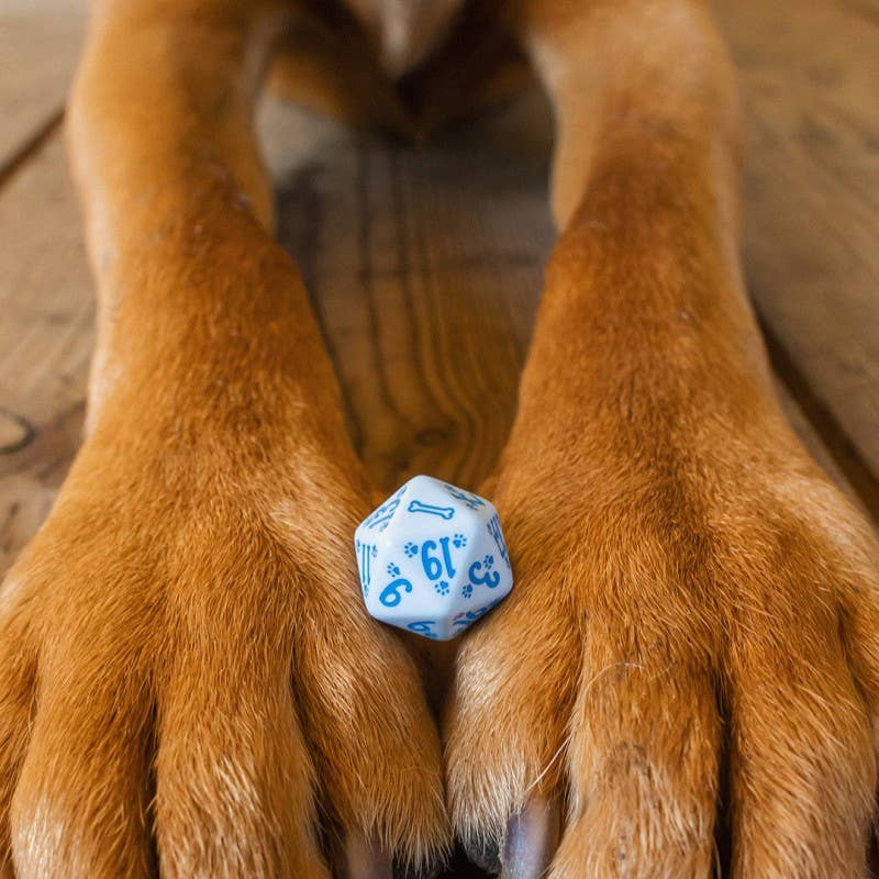 Set di dadi per cani Max